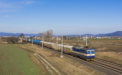 Zobrazi� cel� fotku