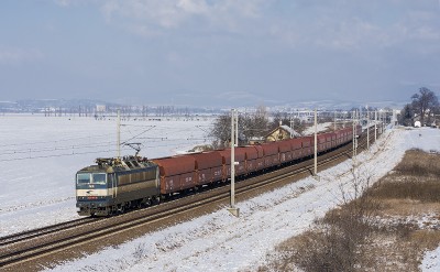 Zobrazi� cel� fotku