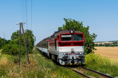 Zobrazi� cel� fotku