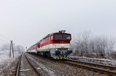 Zobrazi� cel� fotku
