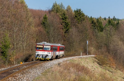 Zobrazi� cel� fotku