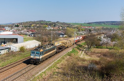 Zobrazi� cel� fotku