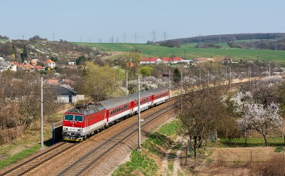 Zobrazi� cel� fotku
