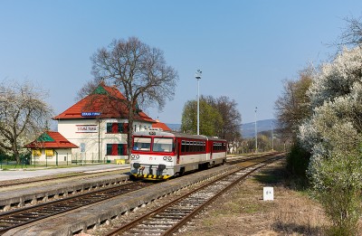 Zobrazi� cel� fotku
