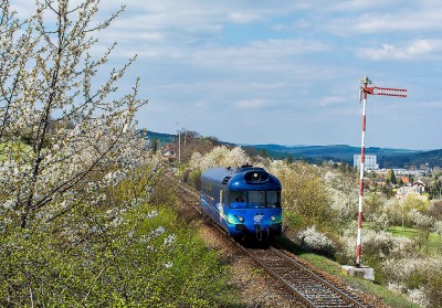Zobrazi� cel� fotku