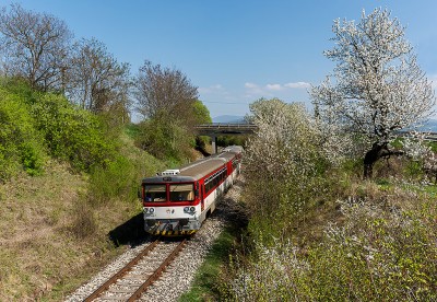 Zobrazi� cel� fotku