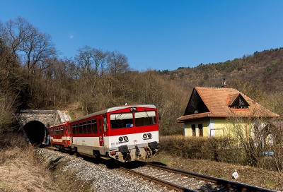 Zobrazi� cel� fotku