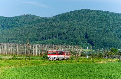 Zobrazi� cel� fotku