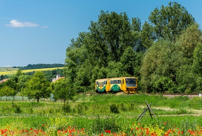 Zobrazi� cel� fotku