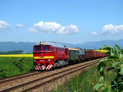 Zobrazi� cel� fotku