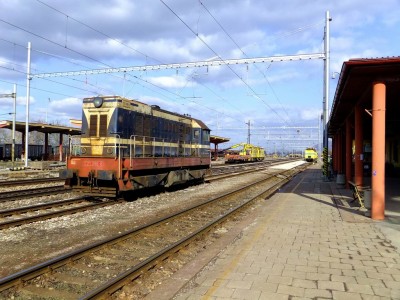 Zobrazi� cel� fotku