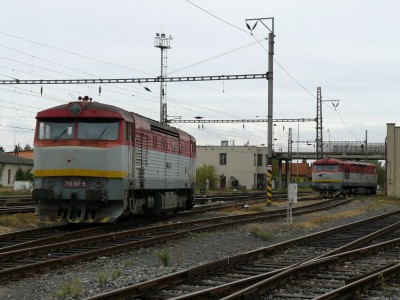 Zobrazi� cel� fotku