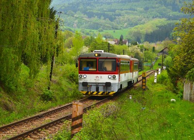 Zobrazi� cel� fotku