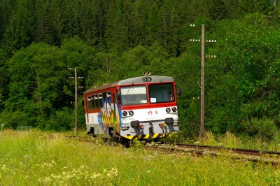 Zobrazi� cel� fotku