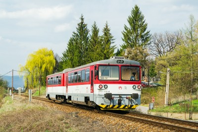 Zobrazi� cel� fotku