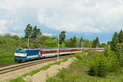 Zobrazi� cel� fotku