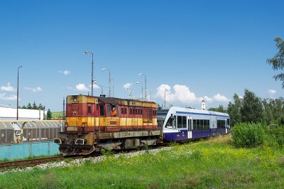 Zobrazi� cel� fotku