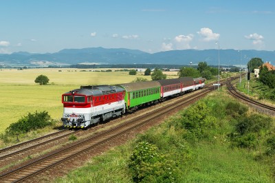Zobrazi� cel� fotku