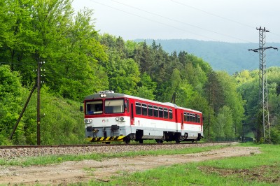 Zobrazi� cel� fotku