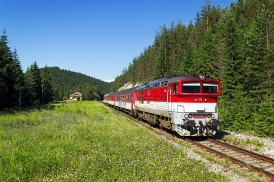 Zobrazi� cel� fotku