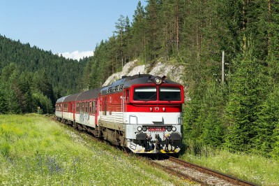 Zobrazi� cel� fotku