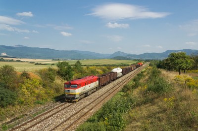 Zobrazi� cel� fotku