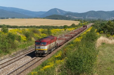 Zobrazi� cel� fotku