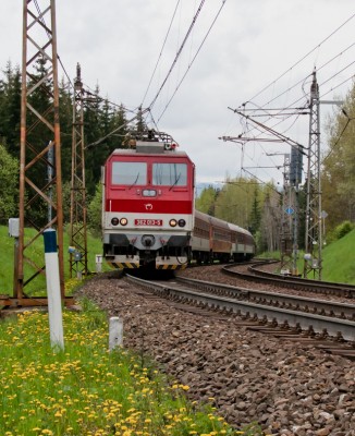 Zobrazi� cel� fotku