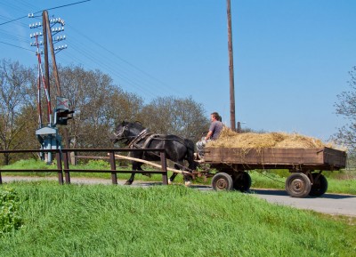 Zobrazi� cel� fotku