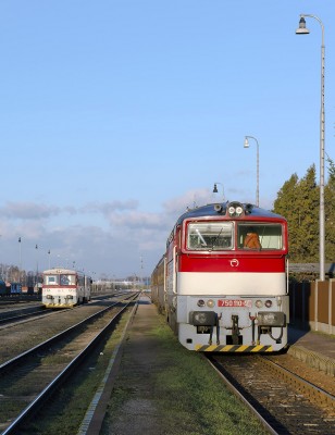 Zobrazi� cel� fotku