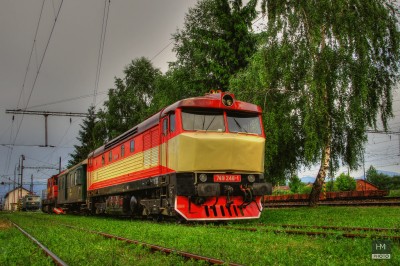 Zobrazi� cel� fotku