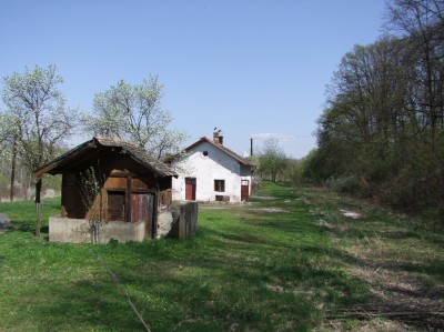 Zobrazi� cel� fotku
