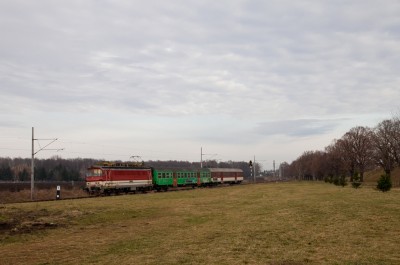 Zobrazi� cel� fotku
