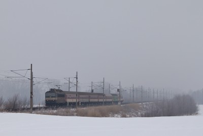 Zobrazi� cel� fotku