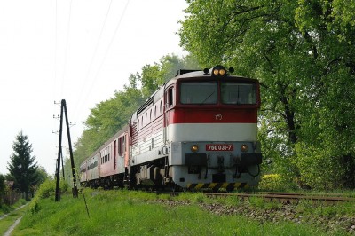 Zobrazi� cel� fotku