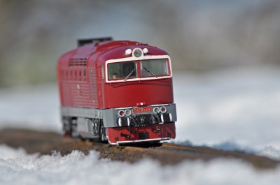 Zobrazi� cel� fotku