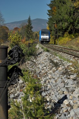 Zobrazi� cel� fotku