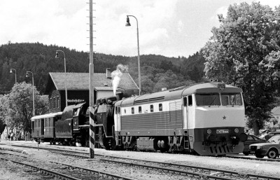 Zobrazi� cel� fotku