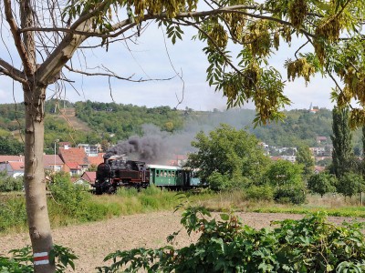 Zobrazi� cel� fotku