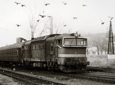 Zobrazi� cel� fotku