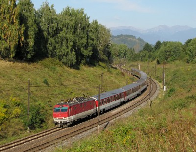 Zobrazi� cel� fotku