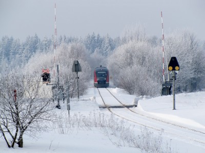 Zobrazi� cel� fotku