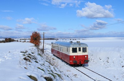 Zobrazi� cel� fotku