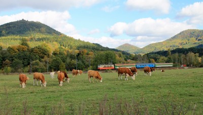 Zobrazi� cel� fotku