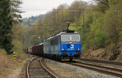 Zobrazi� cel� fotku