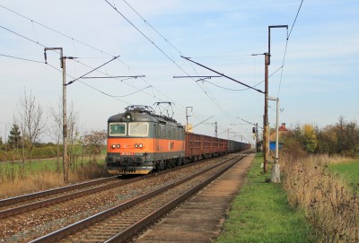 Zobrazi� cel� fotku