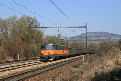 Zobrazi� cel� fotku