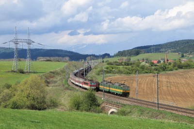 Zobrazi� cel� fotku