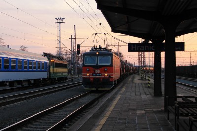 Zobrazi� cel� fotku