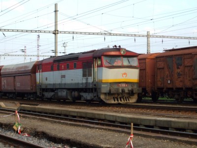 Zobrazi� cel� fotku